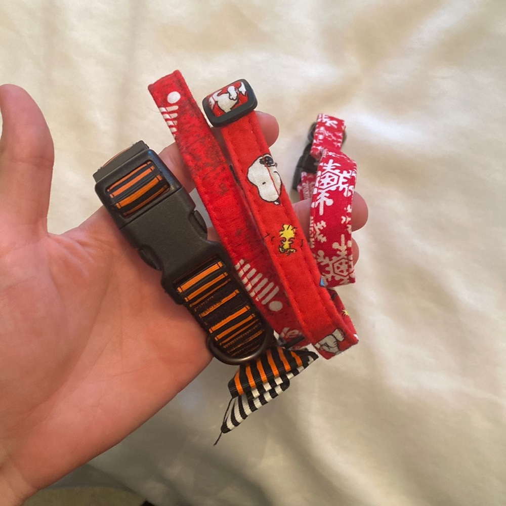 4 unused dog collars